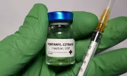 ഫെന്റാനില്‍ കള്ളക്കടത്ത്: ഇന്ത്യന്‍ കമ്പനി മേധാവികള്‍ക്ക് വിസ നിഷേധിച്ച് യുഎസ്