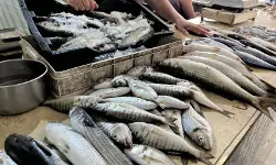 เดธเตเดฐเดพเดตเตเดชเดฟเดเดฟเดคเตเดคเด: เดเดถเดเตเดเดเดณเตโเดเตเดเต เดถเดพเดธเตเดคเตเดฐเตเดฏ เดชเดฐเดฟเดนเดพเดฐเด เดเดพเดฃเตเดฎเตเดจเตเดจเต เดธเดฟเดเดเดเดซเตเดเดฐเตโเด เดธเตเดฐเดพเดตเตเดชเดฟเดเดฟเดคเตเดคเด: เดเดถเดเตเดเดเดณเตโเดเตเดเต เดถเดพเดธเตเดคเตเดฐเตเดฏ เดชเดฐเดฟเดนเดพเดฐเด เดเดพเดฃเตเดฎเตเดจเตเดจเต เดธเดฟเดเดเดเดซเตเดเดฐเตโเด