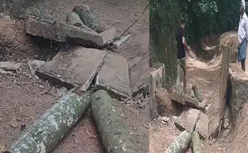 തെങ്ങ് വീണ് രണ്ടുതൊഴിലുറപ്പ് തൊഴിലാളികള്‍ മരിച്ചു