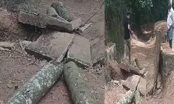 തെങ്ങ് വീണ് രണ്ടുതൊഴിലുറപ്പ് തൊഴിലാളികള്‍ മരിച്ചു