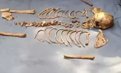 കാട്ടില്‍ വീണ പന്തെടുക്കാന്‍ പോയ കുട്ടികള്‍ കണ്ടത് അസ്ഥിക്കൂടം; പോലിസ് അന്വേഷണം ആരംഭിച്ചു