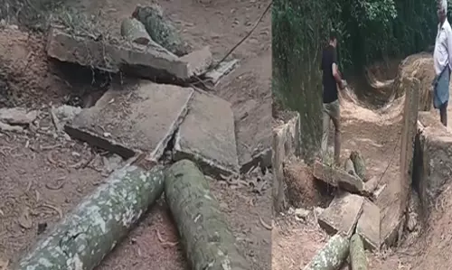 തെങ്ങ് വീണ് രണ്ടുതൊഴിലുറപ്പ് തൊഴിലാളികള്‍ മരിച്ചു