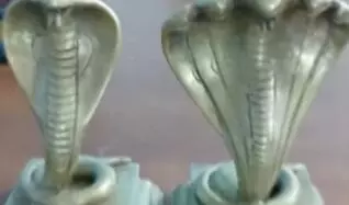 താനൂരില് മല്സ്യബന്ധനത്തിനു പോയവരുടെ വലയില് കുടുങ്ങിയത് നാഗ വിഗ്രഹങ്ങള് താനൂരില് മല്സ്യബന്ധനത്തിനു പോയവരുടെ വലയില് കുടുങ്ങിയത് നാഗ വിഗ്രഹങ്ങള്