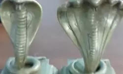 താനൂരില്‍ മല്‍സ്യബന്ധനത്തിനു പോയവരുടെ വലയില്‍ കുടുങ്ങിയത് നാഗ വിഗ്രഹങ്ങള്‍