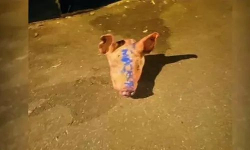 പള്ളികള്‍ക്ക് മുന്നില്‍ പന്നിത്തലകള്‍ ഇടുന്ന സംഘത്തെ ഉടന്‍ പിടികൂടുമെന്ന് ഫ്രഞ്ച് പോലിസ്