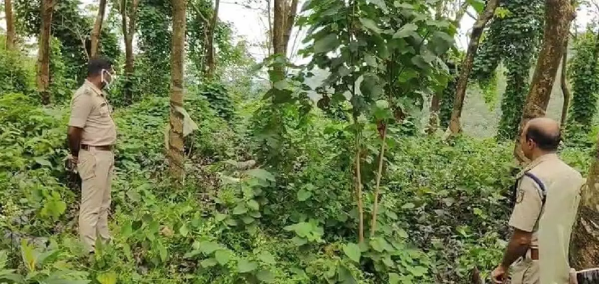 കൊല്ലത്ത് കൈകാലുകള് ചങ്ങലയില് ബന്ധിച്ച നിലയില് മൃതദേഹം കണ്ടെത്തി കൊല്ലത്ത് കൈകാലുകള് ചങ്ങലയില് ബന്ധിച്ച നിലയില് മൃതദേഹം കണ്ടെത്തി