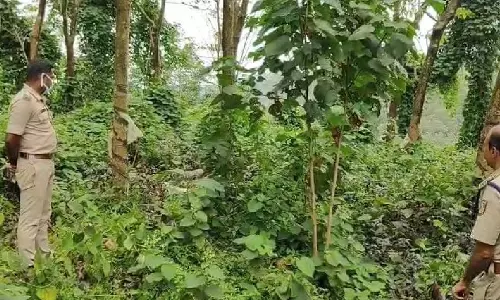 കൊല്ലത്ത് കൈകാലുകള്‍ ചങ്ങലയില്‍ ബന്ധിച്ച നിലയില്‍ മൃതദേഹം കണ്ടെത്തി