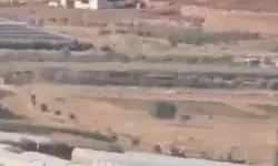 വെസ്റ്റ് ബാങ്കിലെ ഫലസ്തീന്‍ പട്ടണത്തില്‍ അതിക്രമിച്ചുകയറി ഇസ്രായേലി കുടിയേറ്റക്കാര്‍(വിഡിയോ)