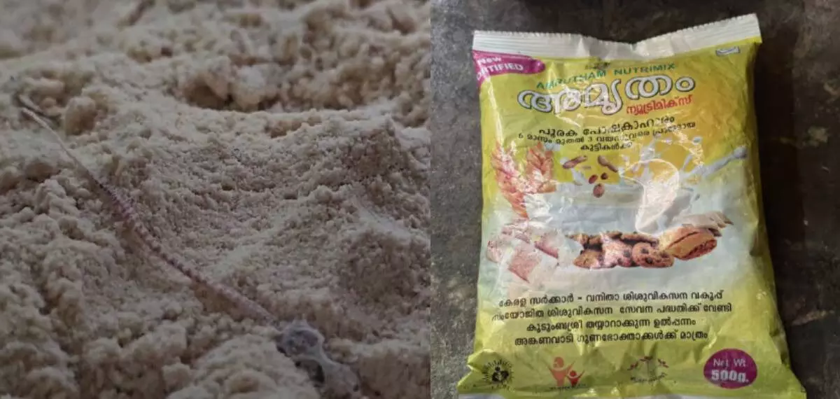 അമൃതം പൊടിയില്‍ പല്ലിയുടെ ജഡം; ഒന്നരവയസ്സുകാരിക്ക് ഭക്ഷ്യവിഷബാധ