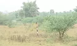 എലപ്പുള്ളി ബ്രൂവറി: ഡിജിറ്റല്‍ സര്‍വ്വേക്ക് സ്ഥലം വൃത്തിയാക്കാന്‍ ശ്രമം; പ്രതിഷേധം