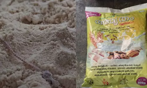 അമൃതം പൊടിയില്‍ പല്ലിയുടെ ജഡം; ഒന്നരവയസ്സുകാരിക്ക് ഭക്ഷ്യവിഷബാധ