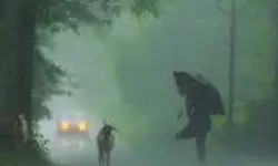 വരും മണിക്കൂറില്‍ സംസ്ഥാനത്ത് ഒറ്റപ്പെട്ട ശക്തമായ മഴയ്ക്കു സാധ്യത