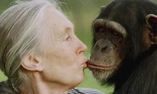 ചിമ്പാന്സി ഗവേഷക ജെയ്ന് ഗുഡാള് അന്തരിച്ചു; ട്രംപിനെ ആണ് ചിമ്പാന്സിയെന്ന് വിളിച്ച വീഡിയോ വീണ്ടും വൈറല്(വീഡിയോ) ചിമ്പാന്സി ഗവേഷക ജെയ്ന് ഗുഡാള് അന്തരിച്ചു; ട്രംപിനെ ആണ് ചിമ്പാന്സിയെന്ന് വിളിച്ച വീഡിയോ വീണ്ടും വൈറല്(വീഡിയോ)