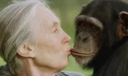 เดเดฟเดฎเตเดชเดพเดจเตโเดธเดฟ เดเดตเตเดทเด เดเตเดฏเตเดจเตโ เดเตเดกเดพเดณเตโ เด
เดจเตเดคเดฐเดฟเดเตเดเต; เดเตเดฐเดเดชเดฟเดจเต เดเดฃเตโ เดเดฟเดฎเตเดชเดพเดจเตโเดธเดฟเดฏเตเดจเตเดจเต เดตเดฟเดณเดฟเดเตเด เดตเตเดกเดฟเดฏเต เดตเตเดฃเตเดเตเด เดตเตเดฑเดฒเตโ(เดตเตเดกเดฟเดฏเต) เดเดฟเดฎเตเดชเดพเดจเตโเดธเดฟ เดเดตเตเดทเด เดเตเดฏเตเดจเตโ เดเตเดกเดพเดณเตโ เด
เดจเตเดคเดฐเดฟเดเตเดเต; เดเตเดฐเดเดชเดฟเดจเต เดเดฃเตโ เดเดฟเดฎเตเดชเดพเดจเตโเดธเดฟเดฏเตเดจเตเดจเต เดตเดฟเดณเดฟเดเตเด เดตเตเดกเดฟเดฏเต เดตเตเดฃเตเดเตเด เดตเตเดฑเดฒเตโ(เดตเตเดกเดฟเดฏเต)