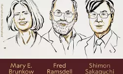 เดตเตเดฆเตเดฏเดถเดพเดธเตเดคเตเดฐเดคเตเดคเดฟเดจเตเดณเตเดณ เดจเตเดฌเตเดฒเตโ เดชเตเดฐเดธเตโเดเดพเดฐเด เดชเตเดฐเดเตเดฏเดพเดชเดฟเดเตเดเต เดตเตเดฆเตเดฏเดถเดพเดธเตเดคเตเดฐเดคเตเดคเดฟเดจเตเดณเตเดณ เดจเตเดฌเตเดฒเตโ เดชเตเดฐเดธเตโเดเดพเดฐเด เดชเตเดฐเดเตเดฏเดพเดชเดฟเดเตเดเต