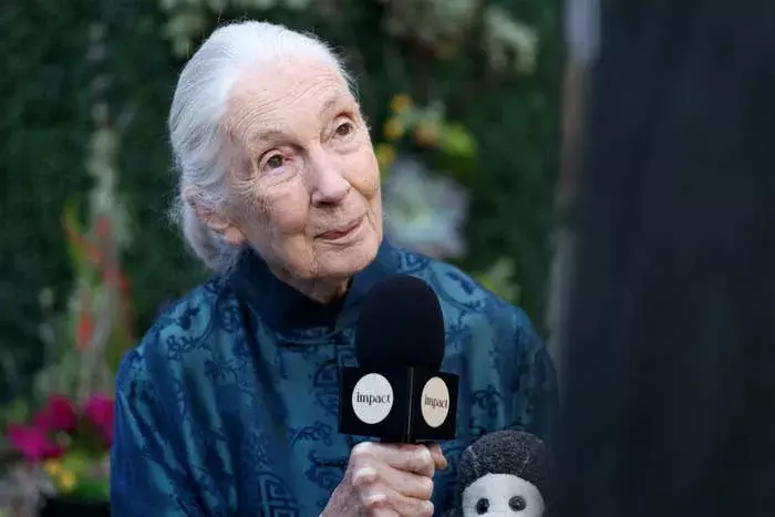 നെതന്യാഹുവിനേയും ട്രംപിനേയും മസ്‌കിന്റെ പേടകത്തില്‍ ഭൂമിയില്‍ നിന്ന് തുരത്തണം: അന്തരിച്ച ഡോ. ജെയിന്‍ ഗുഡാളിന്റെ അഭിമുഖം പുറത്ത്