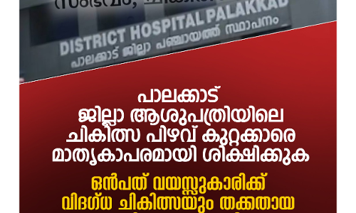 പാലക്കാട് ജില്ലാ ആശുപത്രിയിലെ ചികില്സാ പിഴവ്; സമഗ്ര അന്വേഷണം വേണം, കുറ്റക്കാര്ക്കെതിരേ നടപടിയെടുക്കണം: വിമന് ഇന്ത്യ മൂവ്മെന്റ് പാലക്കാട് ജില്ലാ ആശുപത്രിയിലെ ചികില്സാ പിഴവ്; സമഗ്ര അന്വേഷണം വേണം, കുറ്റക്കാര്ക്കെതിരേ നടപടിയെടുക്കണം: വിമന് ഇന്ത്യ മൂവ്മെന്റ്