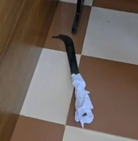 താമരശ്ശേരി ആശുപത്രിയില് ഡോക്ടര്ക്ക് വെട്ടേറ്റു താമരശ്ശേരി ആശുപത്രിയില് ഡോക്ടര്ക്ക് വെട്ടേറ്റു