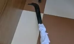 താമരശ്ശേരി ആശുപത്രിയില് ഡോക്ടര്ക്ക് വെട്ടേറ്റു താമരശ്ശേരി ആശുപത്രിയില് ഡോക്ടര്ക്ക് വെട്ടേറ്റു