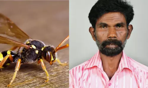 ആലുവയില്‍ കടന്നലാക്രമണത്തില്‍ വയോധികന്‍ മരിച്ചു