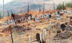 เดเดธเตเดฐเดพเดฏเตเดฒเตโ เดคเดเดเตเดเตเดตเดเตเดเดฟเดฐเดฟเดเตเดเตเดจเตเดจเดคเต 735 เดซเดฒเดธเตเดคเตเดจเดฟเดเดณเตเดเต เดฎเตเดคเดฆเตเดนเดเตเดเดณเตโ เดเดธเตเดฐเดพเดฏเตเดฒเตโ เดคเดเดเตเดเตเดตเดเตเดเดฟเดฐเดฟเดเตเดเตเดจเตเดจเดคเต 735 เดซเดฒเดธเตเดคเตเดจเดฟเดเดณเตเดเต เดฎเตเดคเดฆเตเดนเดเตเดเดณเตโ