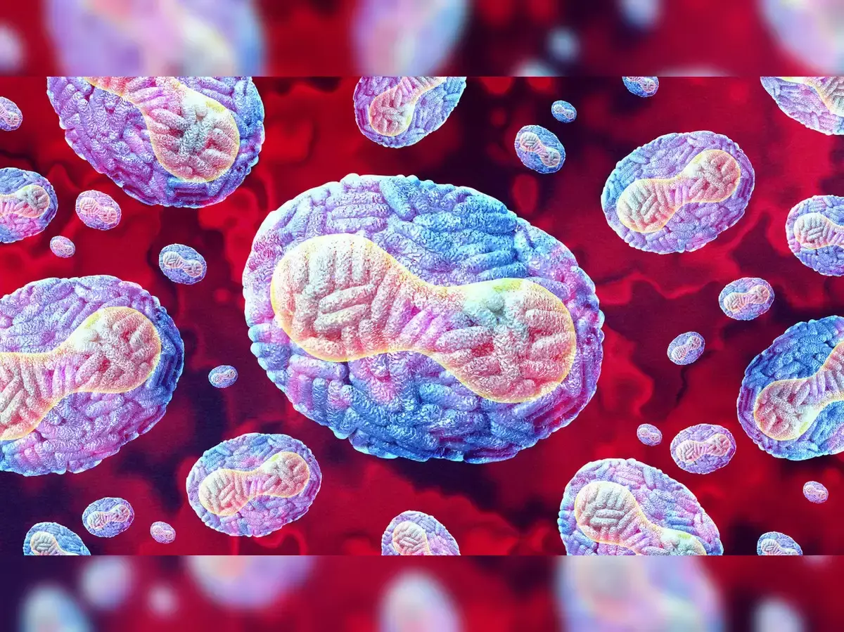 സംസ്ഥാനത്ത് വീണ്ടും അമീബിക് മസ്തിഷ്ക ജ്വരം; പാലക്കാട് സ്വദേശിക്ക് രോഗബാധ, നില അതീവ ഗുരുതരം സംസ്ഥാനത്ത് വീണ്ടും അമീബിക് മസ്തിഷ്ക ജ്വരം; പാലക്കാട് സ്വദേശിക്ക് രോഗബാധ, നില അതീവ ഗുരുതരം