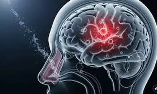 അമീബിക് മസ്തിഷ്‌ക ജ്വരം; കൊല്ലത്ത് 62കാരിക്ക് രോഗം സ്ഥിരീകരിച്ചു