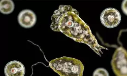 സംസ്ഥാനത്ത് വീണ്ടും അമീബിക് മസ്തിഷ്‌ക ജ്വരം ബാധിച്ച് മരണം