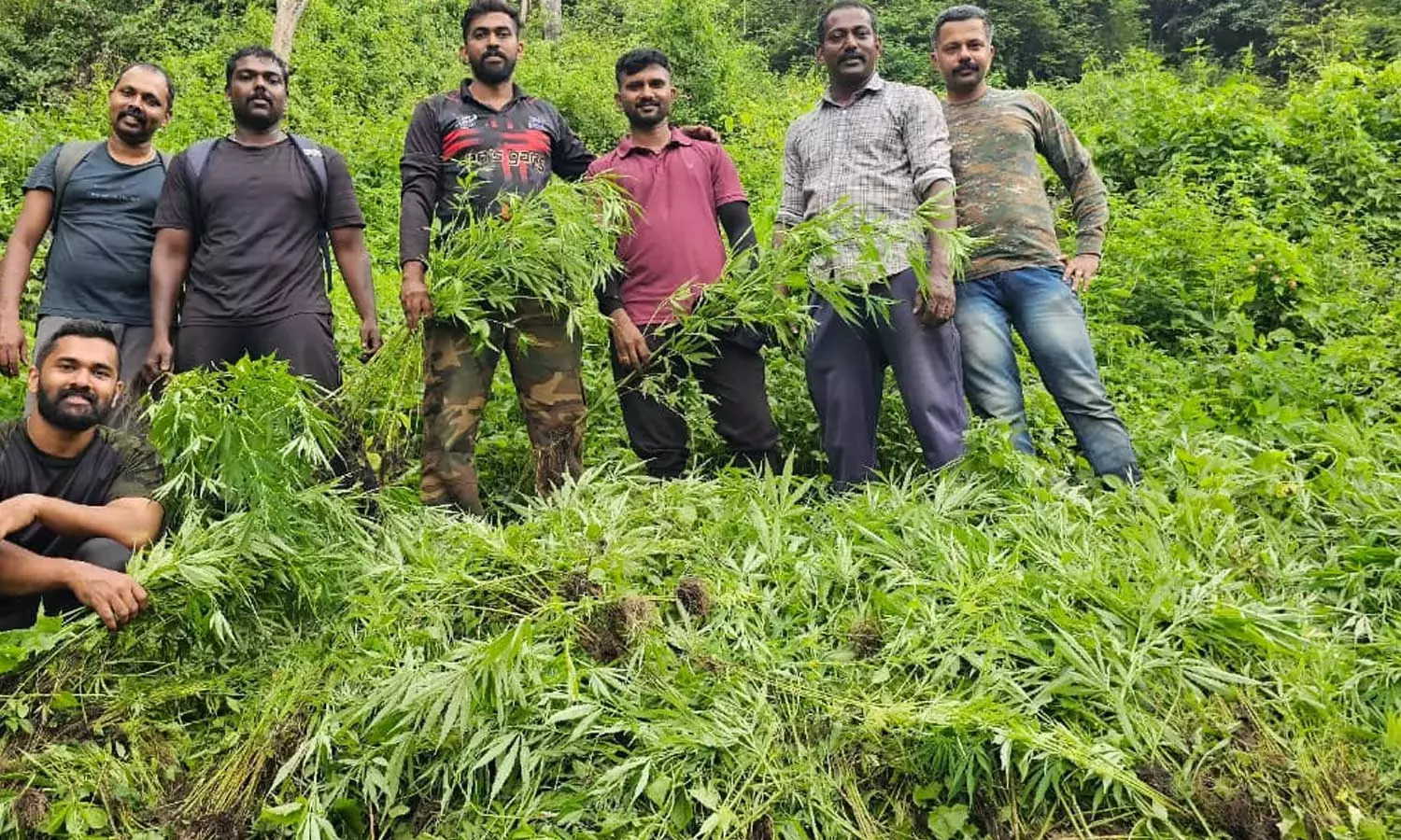 അട്ടപ്പാടിയില് പതിനായിരത്തോളം കഞ്ചാവ് ചെടികള് കണ്ടെത്തി നശിപ്പിച്ചു അട്ടപ്പാടിയില് പതിനായിരത്തോളം കഞ്ചാവ് ചെടികള് കണ്ടെത്തി നശിപ്പിച്ചു