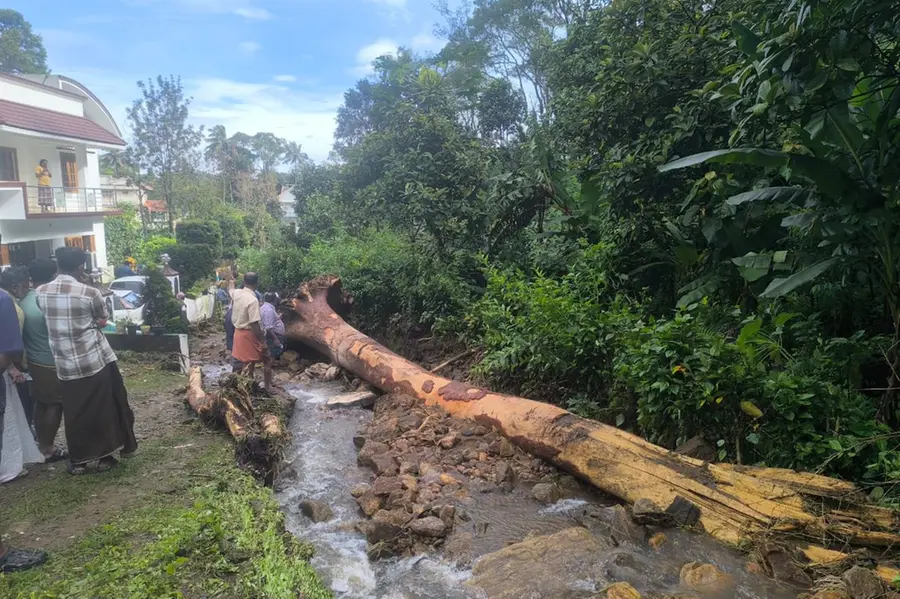 കട്ടപ്പനയില്‍ ഉരുള്‍പൊട്ടല്‍; ആളപായമില്ല