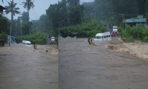 ഇടുക്കിയില്‍ ശക്തമായ മഴ; മുല്ലപ്പെരിയാര്‍ ഡാം തുറന്നു