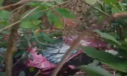 เดเดพเดฐเตโ เดคเดพเดดเตเดเดฏเดฟเดฒเตเดเตเดเต เดฎเดฑเดฟเดเตเดเต เดจเดพเดฒเดฐเดฎเดพเดธเด เดชเตเดฐเดพเดฏเดฎเตเดณเตเดณ เดเตเดเตเดเตเด เดฎเตเดคเตเดคเดถเตเดถเดฟเดฏเตเด เดฎเดฐเดฟเดเตเดเต เดเดพเดฐเตโ เดคเดพเดดเตเดเดฏเดฟเดฒเตเดเตเดเต เดฎเดฑเดฟเดเตเดเต เดจเดพเดฒเดฐเดฎเดพเดธเด เดชเตเดฐเดพเดฏเดฎเตเดณเตเดณ เดเตเดเตเดเตเด เดฎเตเดคเตเดคเดถเตเดถเดฟเดฏเตเด เดฎเดฐเดฟเดเตเดเต