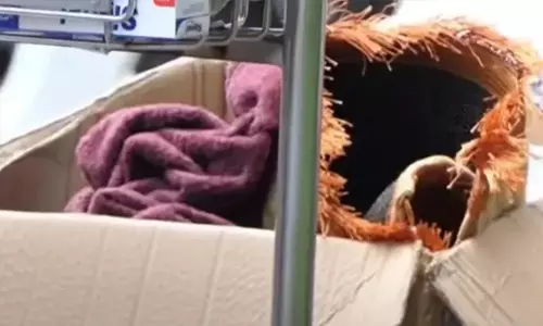 കരിപ്പൂരില് ലഹരിവേട്ട: ഒരു കിലോഗ്രാം എംഡിഎംഎയുമായി യുവാവ് പിടിയില് കരിപ്പൂരില് ലഹരിവേട്ട: ഒരു കിലോഗ്രാം എംഡിഎംഎയുമായി യുവാവ് പിടിയില്