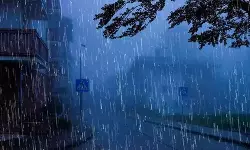 സംസ്ഥാനത്ത് 12 ജില്ലകൾക്ക്  മഴ മുന്നറിയിപ്പ്