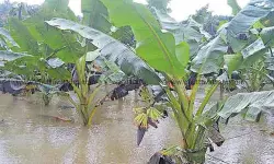 เดชเตเดฐเดเตเดคเดฟเดเตเดทเตเดญ เดธเดพเดงเตเดฏเดค: เดเตเดทเดฟเดตเดเตเดชเตเดชเต เดเดฃเตโเดเตเดฐเตเดพเดณเตโ เดฑเตเด เดคเตเดฑเดจเตเดจเต เดชเตเดฐเดเตเดคเดฟเดเตเดทเตเดญ เดธเดพเดงเตเดฏเดค: เดเตเดทเดฟเดตเดเตเดชเตเดชเต เดเดฃเตโเดเตเดฐเตเดพเดณเตโ เดฑเตเด เดคเตเดฑเดจเตเดจเต