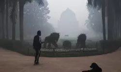 เดกเดฒเตโเดนเดฟเดฏเดฟเดฒเต เดตเดพเดฏเตเดตเดฟเดจเตเดฑเต เดเตเดฃเดจเดฟเดฒเดตเดพเดฐเด เด
เดชเดเดเดเดฐเดฎเดพเดฏ เดจเดฟเดฒเดฏเดฟเดฒเตโ, เดฑเดฟเดชเตเดฐเตโเดเตเดเต เดกเดฒเตโเดนเดฟเดฏเดฟเดฒเต เดตเดพเดฏเตเดตเดฟเดจเตเดฑเต เดเตเดฃเดจเดฟเดฒเดตเดพเดฐเด เด
เดชเดเดเดเดฐเดฎเดพเดฏ เดจเดฟเดฒเดฏเดฟเดฒเตโ, เดฑเดฟเดชเตเดฐเตโเดเตเดเต