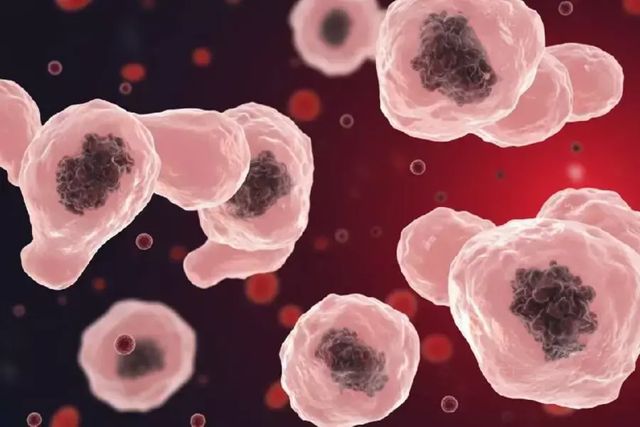 സംസ്ഥാനത്ത് വീണ്ടും മസ്തിഷ്‌ക ജ്വരം; തിരുവനന്തപുരത്ത് 13 വയസ്സുകാരന് രോഗം സ്ഥിരീകരിച്ചു