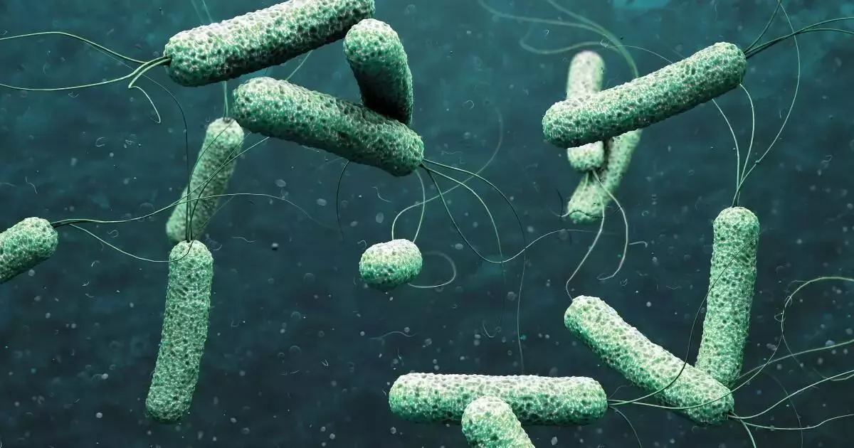 കാക്കനാട് സ്വദേശിക്ക് കോളറ സ്ഥിരീകരിച്ചു, സംസ്ഥാനത്ത് ഈ വര്‍ഷം സ്ഥിരീകരിക്കുന്ന മൂന്നാമത്തെ കേസാണിത്