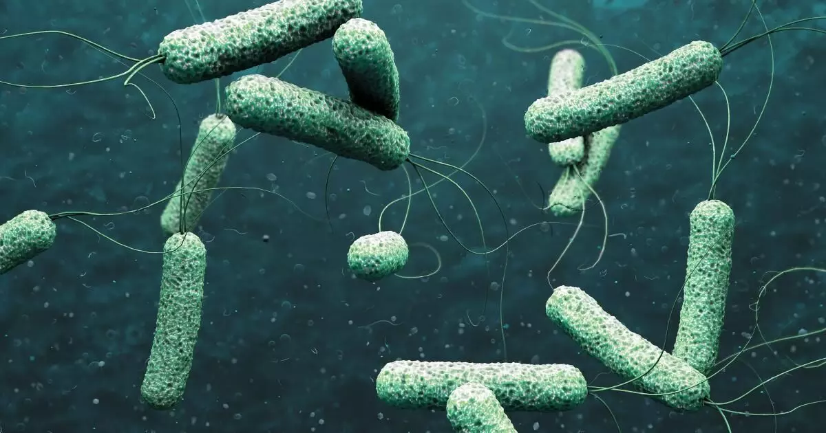 കാക്കനാട് സ്വദേശിക്ക് കോളറ സ്ഥിരീകരിച്ചു, സംസ്ഥാനത്ത് ഈ വര്‍ഷം സ്ഥിരീകരിക്കുന്ന മൂന്നാമത്തെ കേസാണിത്