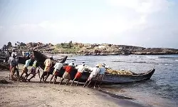 ദേശീയ മറൈൻ ഫിഷറീസ് സെൻസസിന്റെ  വിവരശേഖരണ ലോഞ്ചിംഗ് ഒക്ടോബർ 31 നടക്കും