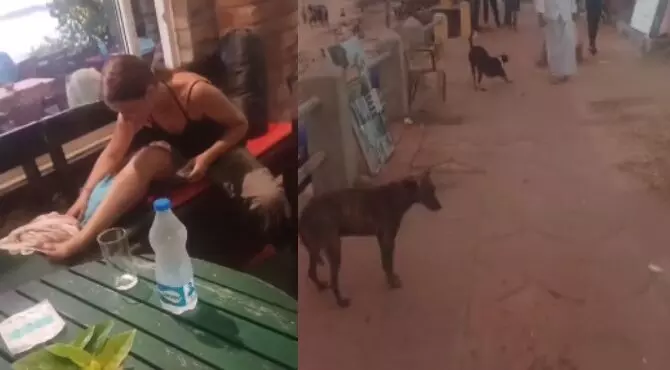 കോവളം ബീച്ചില്‍ റഷ്യന്‍ വനിതയെ തെരുവുനായ കടിച്ചു