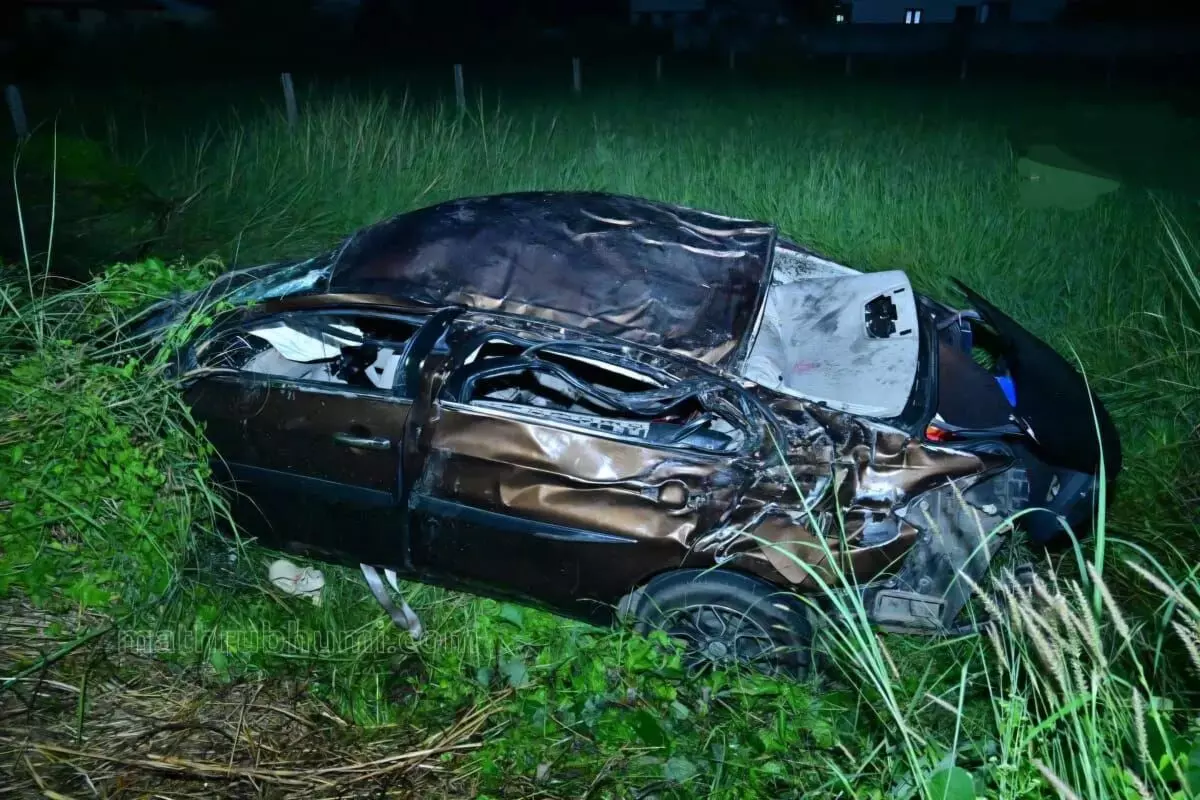 പന്നി കുറുകെച്ചാടി ; നിയന്ത്രണം വിട്ട കാർ മരത്തിലിടിച്ച് മൂന്ന്  യുവാക്കൾ മരിച്ചു