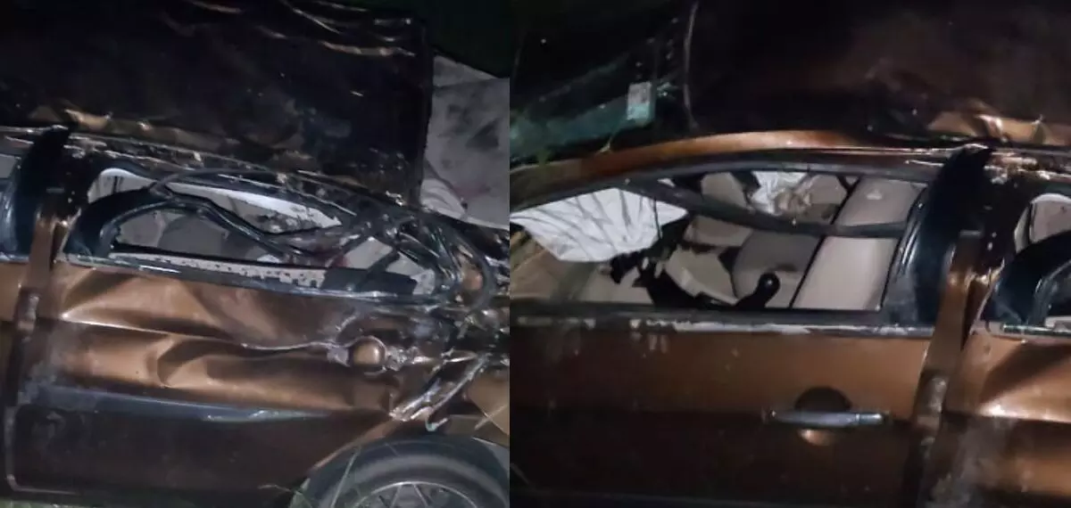 കാട്ടുപന്നി കുറുകെച്ചാടി നിയന്ത്രണം വിട്ട കാര്‍ മരത്തിലിടിച്ച് വയലിലേക്കു മറിഞ്ഞു; മൂന്നു യുവാക്കള്‍ മരിച്ചു, മൂന്നുപേര്‍ക്ക് പരിക്ക്