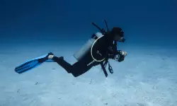 เดธเตโเดเตเดฌ เดกเตเดตเดฟเดเต เดชเดฐเดฟเดถเตเดฒเดจเดคเตเดคเดฟเดจเดฟเดเต เดชเตเดฃเตโเดเตเดเตเดเดฟเดเดณเต เดเดเดจเตเดจเต เดชเดฟเดเดฟเดเตเดเต; เดเดฏเดฐเตโเดซเตเดดเตโเดธเต เดเดฆเตเดฏเตเดพเดเดธเตเดฅเดจเตเดคเดฟเดฐเต เดเตเดธเต เดธเตโเดเตเดฌ เดกเตเดตเดฟเดเต เดชเดฐเดฟเดถเตเดฒเดจเดคเตเดคเดฟเดจเดฟเดเต เดชเตเดฃเตโเดเตเดเตเดเดฟเดเดณเต เดเดเดจเตเดจเต เดชเดฟเดเดฟเดเตเดเต; เดเดฏเดฐเตโเดซเตเดดเตโเดธเต เดเดฆเตเดฏเตเดพเดเดธเตเดฅเดจเตเดคเดฟเดฐเต เดเตเดธเต