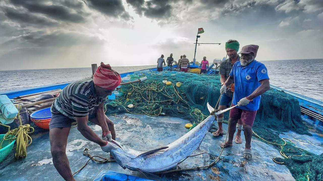മല്‍സ്യത്തൊഴിലാളികള്‍ക്ക് നേരെ അക്രമം