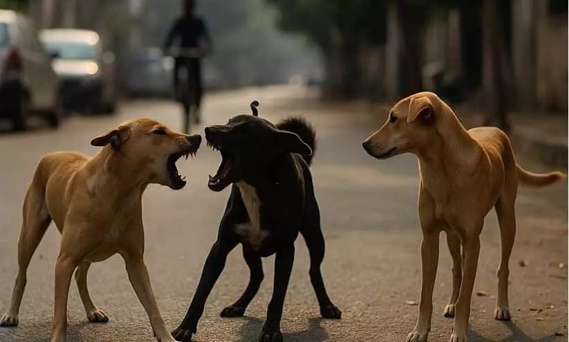 റോഡരികില്‍ കിടന്നുറങ്ങുന്നതിനിടെ വയോധികനെ തെരുവുനായ കടിച്ചുകൊന്നു