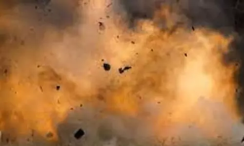 എല്‍ഡിഎഫ് സ്ഥാനാര്‍ഥിയുടെ വീടിന് സമീപം സ്‌ഫോടനം;നായ ചത്തു