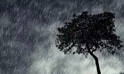 സംസ്ഥാനത്ത് മഴ തുടരും; ഏഴു ജില്ലകളില്‍ യെല്ലോ അലേര്‍ട്ട്