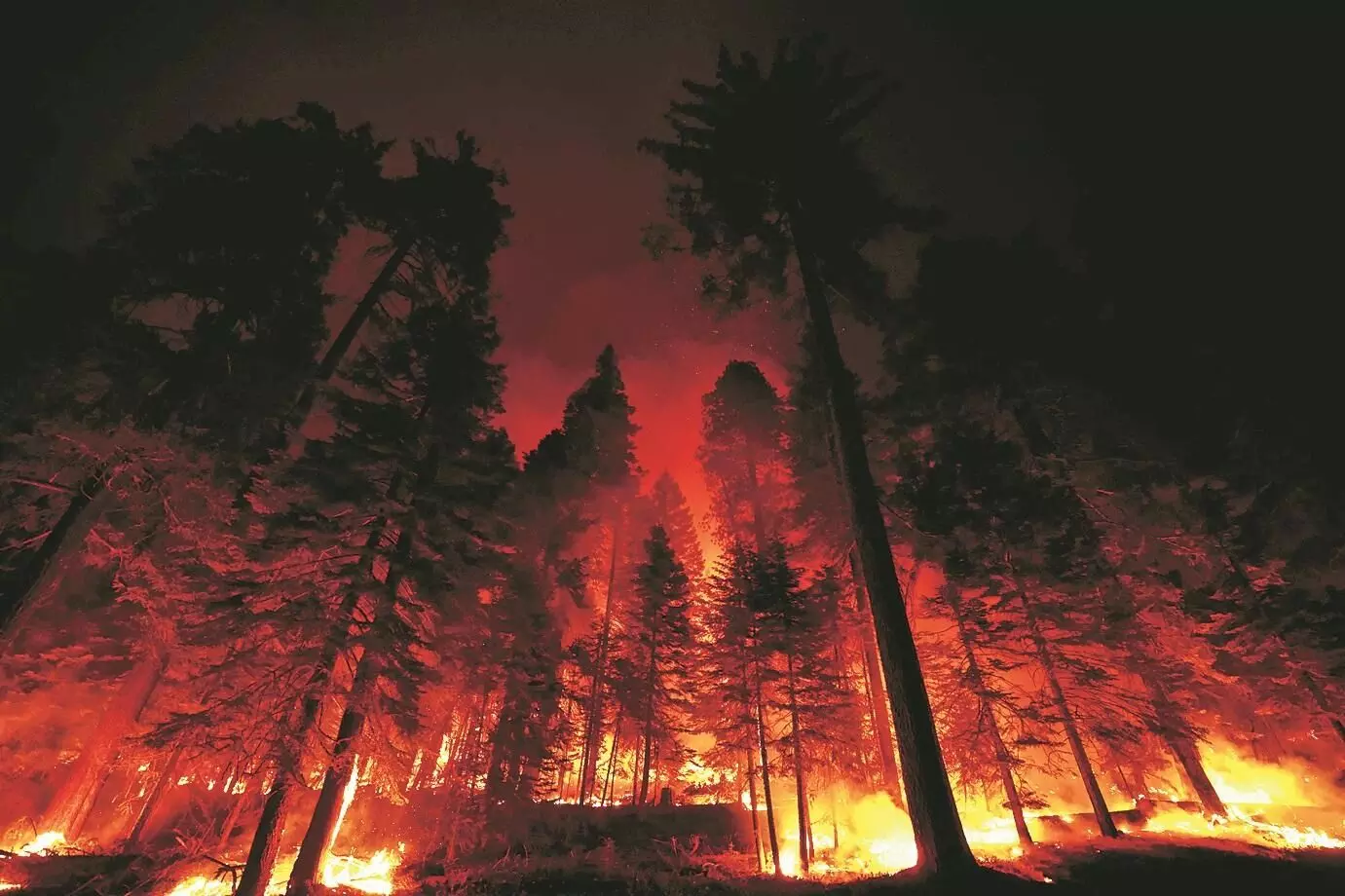 ജപ്പാനില്‍ തീപിടിത്തം; നൂറിലധികം വീടുകള്‍ കത്തനശിച്ചു