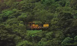 വയനാട്ടില്‍ ഗര്‍ഭിണിയായ ആദിവാസി യുവതിയെ കാണാതായി